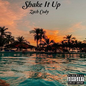 Shake It Up