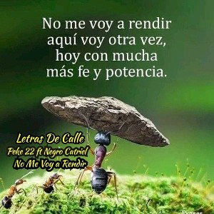 No Me voy a Rendir