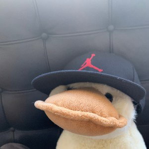 Ducky pro