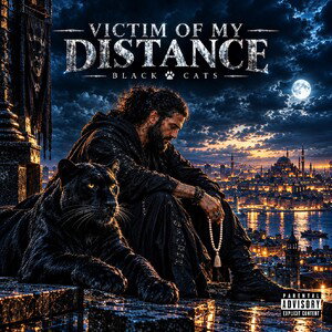 Black Cats 🐾 Victim of my Distance 