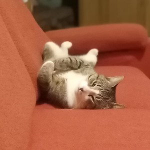 meditation