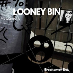 Looney Bin By Hotboy350