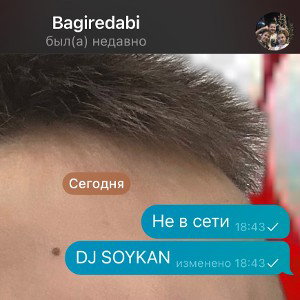 Не в сети