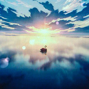Naman sharma - sun_shine_ORG_