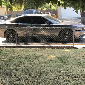 ValleyStrong️