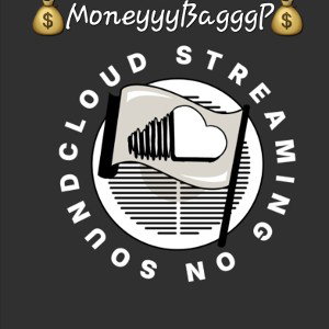 💰 MoneyyyBagggP 💰 T0x¡C