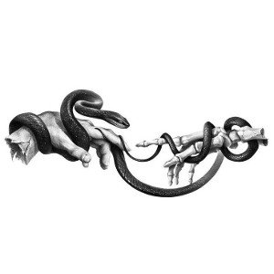 Snake