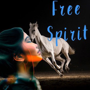 FreeSpirit (11:18:47)