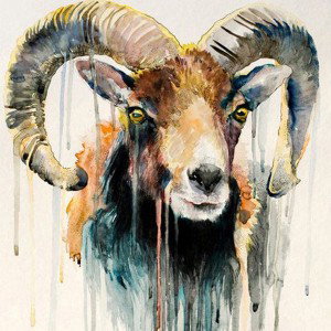 thee brown goat