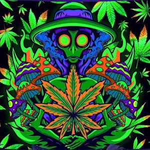 Literally 420 @lyrically420