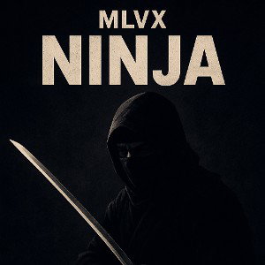MLVX - Ninja