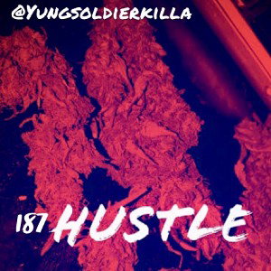 the daily hustle 