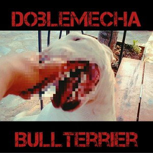 Bull Terrier 