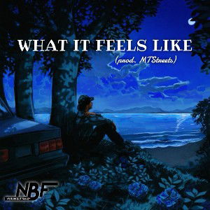 What It Feels Like