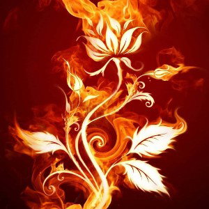 DO YOU FEEL THE FIRE 