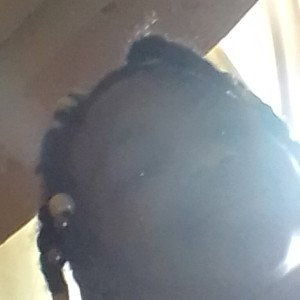 simi lolo my lil cuzz