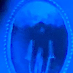 The ring Lil ghost mega mind