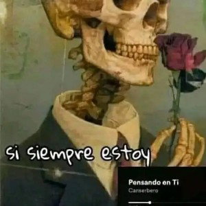 no lloraré