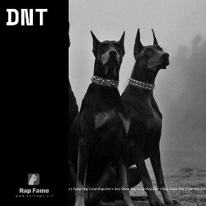 DNT
