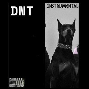 DNT(INSTRUMENTAL)