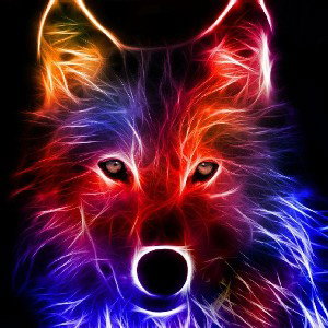 summer wolves