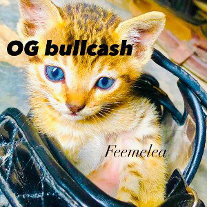 OGbullcashFeemelea