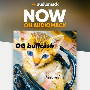 OGbullcashFeemelea.m4a