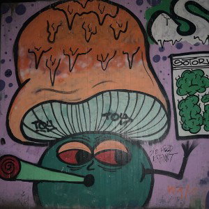 only smoke # только дым