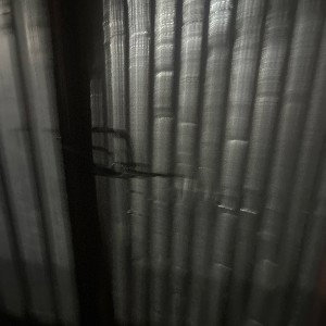 пожизненное в бурашево