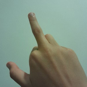 Estupida