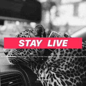 Stay   live 