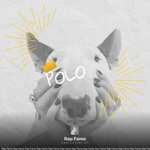 POLO 👕 