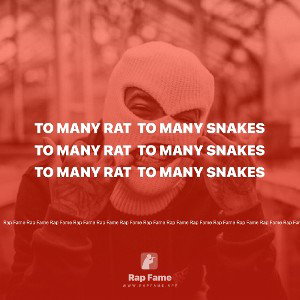 To many Rat 🐀 To many snakes 🐍 