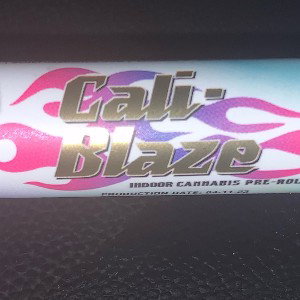 Intro/Chorus for Cali Blaze (Work in progress)