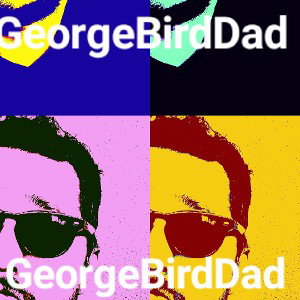 DivorcebyGeorgeBirdDad