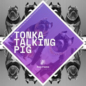 Tonka talking pig