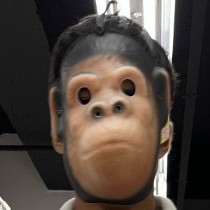 monkey