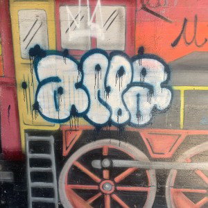 Murder Music - CBD x DINGOE