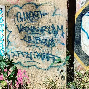 Murder Music - CBD x DINGOE
