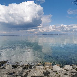Einen Sinn - Natura von Nasci 