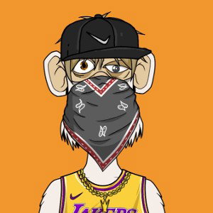 freestyle