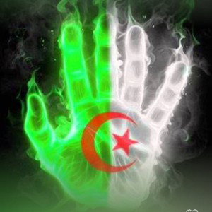 دمي 🩸 جزائري 🇩🇿 