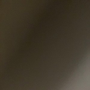 p^ssy (freestyle)
