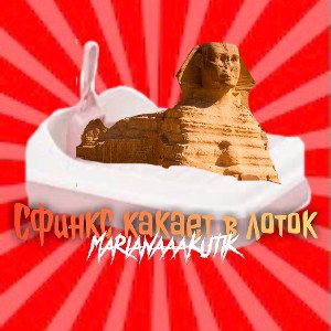Сфинкс какает в лоток