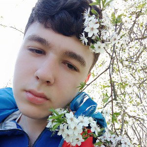 я тебя люблю