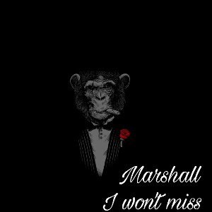 I won't miss 