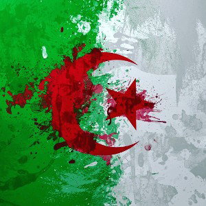 DZ 🇩🇿💶🇨🇵🤘🤘🤌🤙 Algérie France 