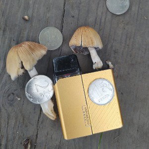 Звуки нефтеперерабатывающего завода