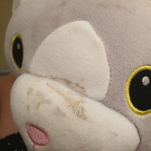 Kitty Kat