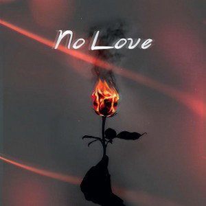 Nolove